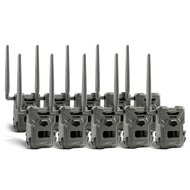 FLEX-M CA PRE-OWNED 10 PACK